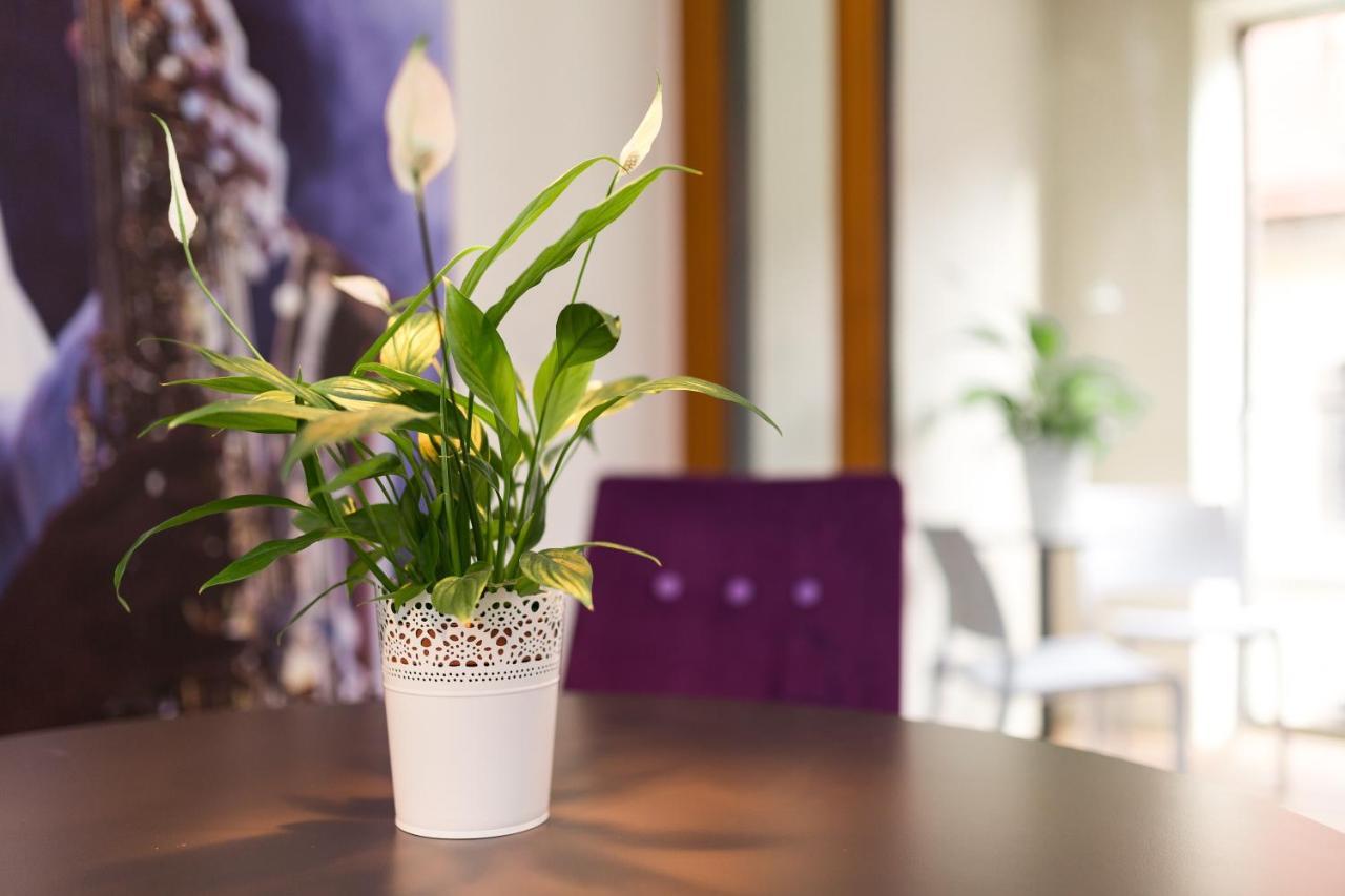 דרזדן Modernes Apartment Am Neumarkt מראה חיצוני תמונה